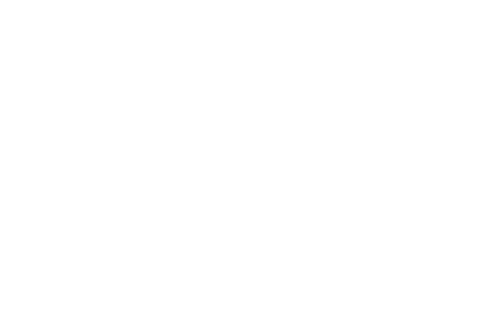 Lucenti, Orlando & Ellies Professional Corporation (opens in a new tab)