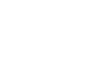 Twiggs (opens in a new tab)